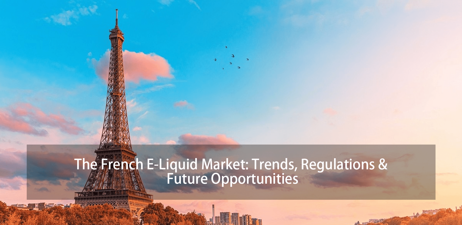 Image of the Eiffel Tower representing France and the article's main subject